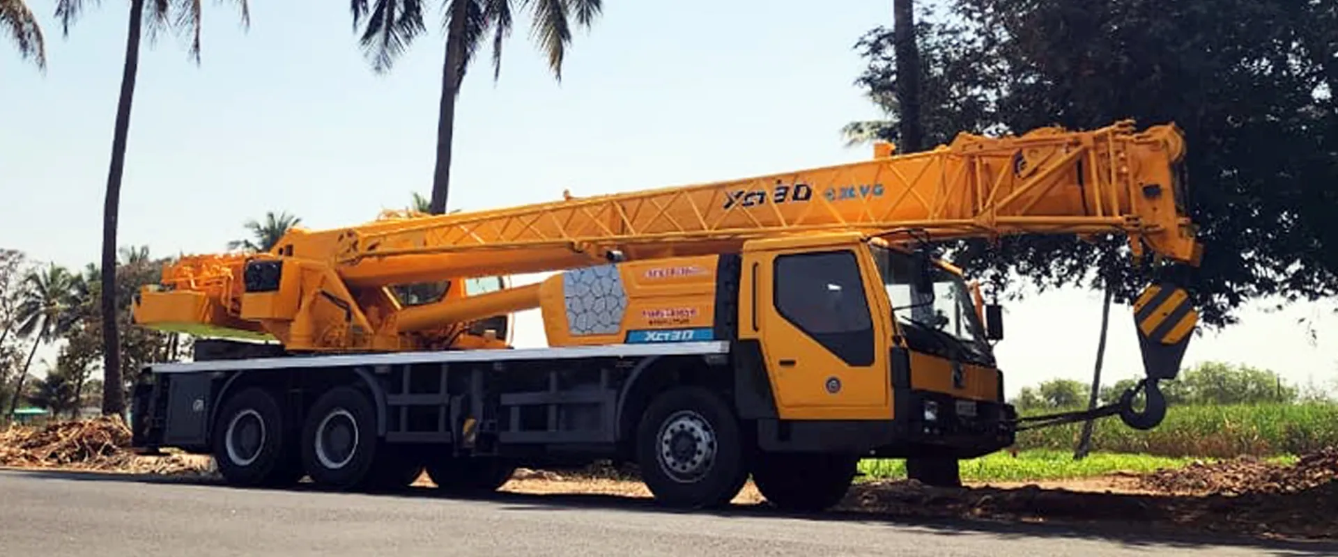 30 Ton Cranes on Hire